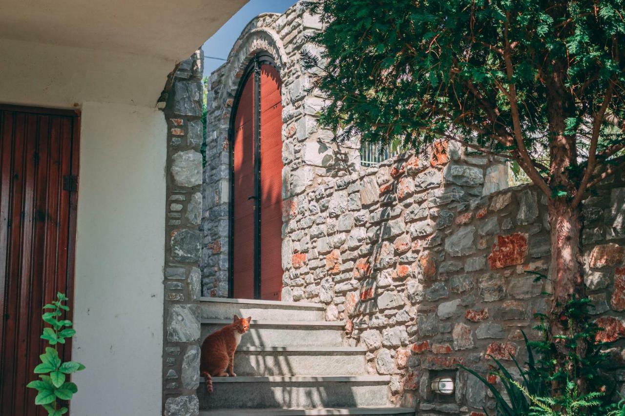 ヴォロス Casa Di Bellaヴィラ エクステリア 写真